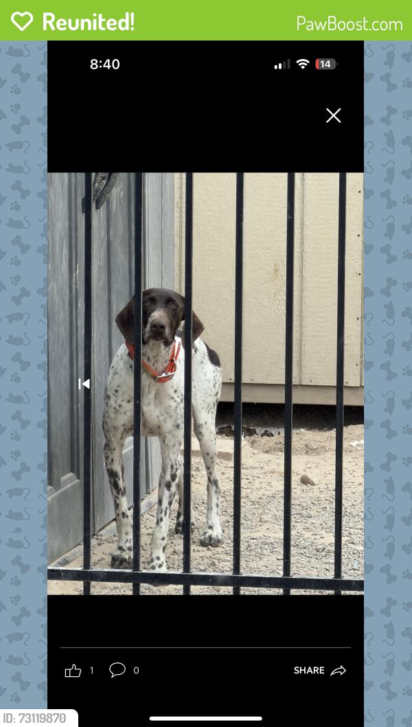 Reunited Female Dog last seen Wyoming and Marion, Las Vegas, NV 89104