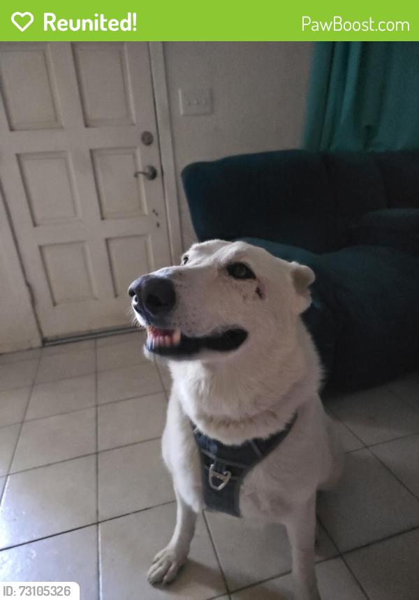 Reunited Male Dog last seen S. KIRBY AND W. JOHNSON, Hemet, CA 92545