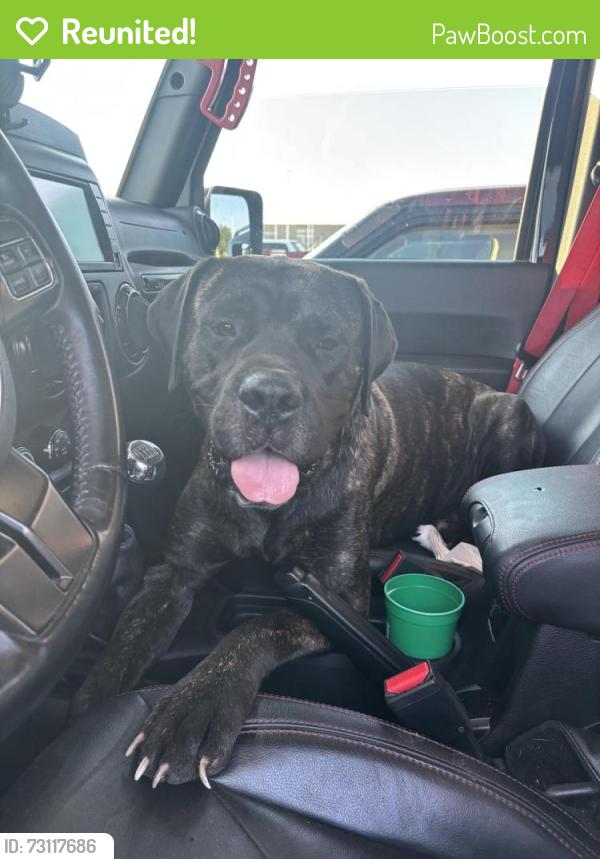 Reunited Male Dog last seen Near N 69 Highway Excelsior Springs Mo, Excelsior Springs, MO 64024