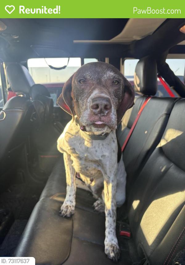 Reunited Female Dog last seen Jones Custom Collision, Excelsior Springs, MO 64024