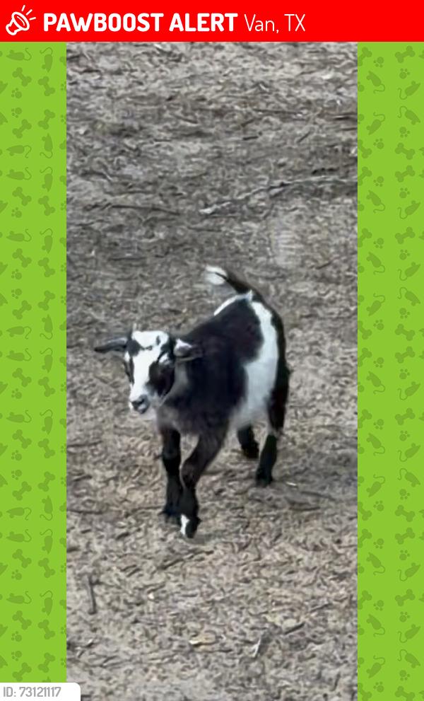 Lost Male Other last seen Highway 110 and cr447, Van, TX 75790