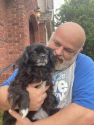 Reunited Male Dog last seen Near NW 96th St, Oklahoma City, OK 73114, USA, Oklahoma City, OK 73114