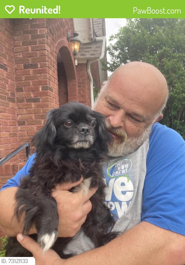 Reunited Male Dog last seen Near NW 96th St, Oklahoma City, OK 73114, USA, Oklahoma City, OK 73114