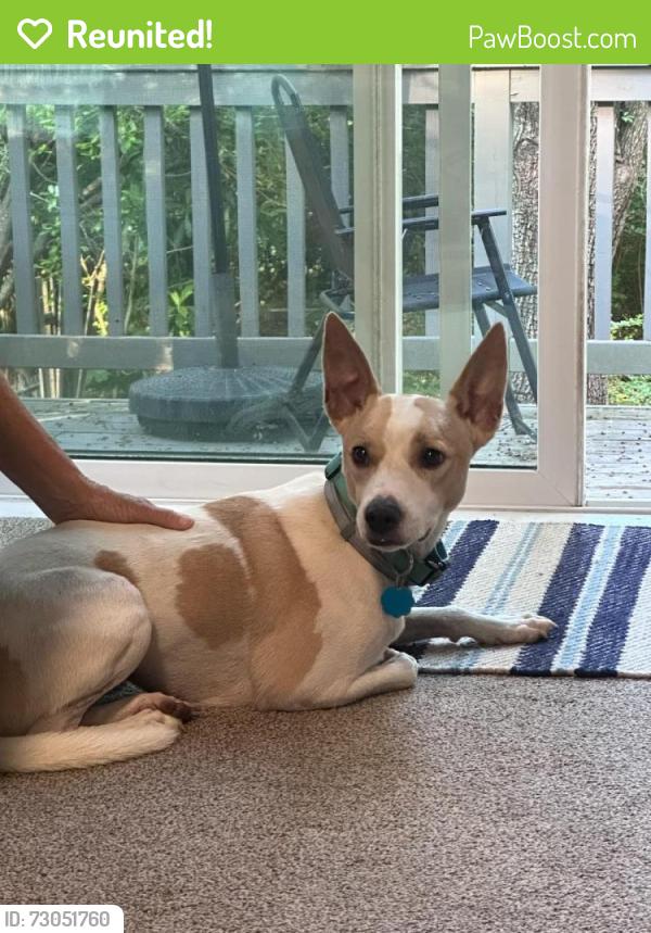 Reunited Male Dog last seen Blues Crossing, Aberdeen, NC 28315