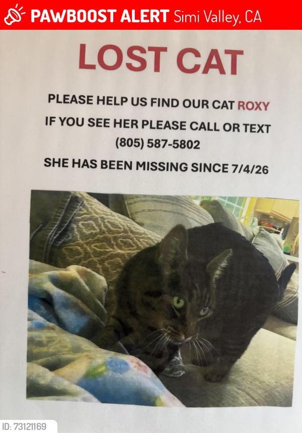Lost Female Cat last seen Yosemite Ave, Simi Valley, CA 93063