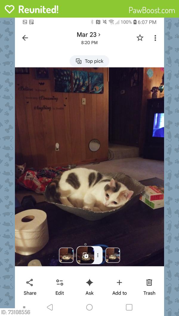Reunited Female Cat last seen 7th street extension, Salisbury, NC 28144