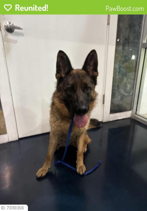 Reunited Unknown Dog last seen Industrial Pkwy and Dixon St, going into Twin bridges hses, Hayward, CA 94544