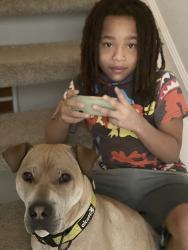 Lost Male Dog last seen Yosemite, near Bank of America, Madera, CA 93638
