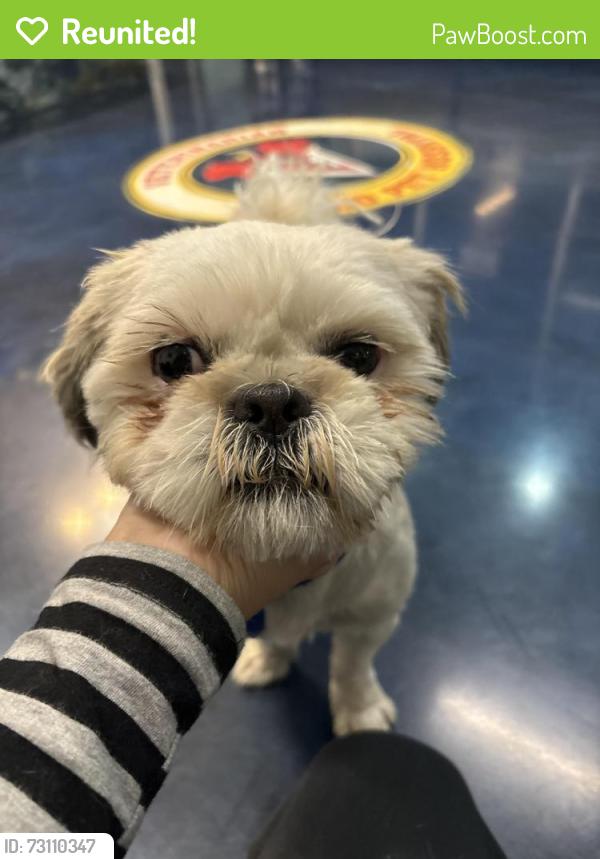 Reunited Unknown Dog last seen Industrial Pkwy and Dixon St, going into Twin bridges hses, Hayward, CA 94544