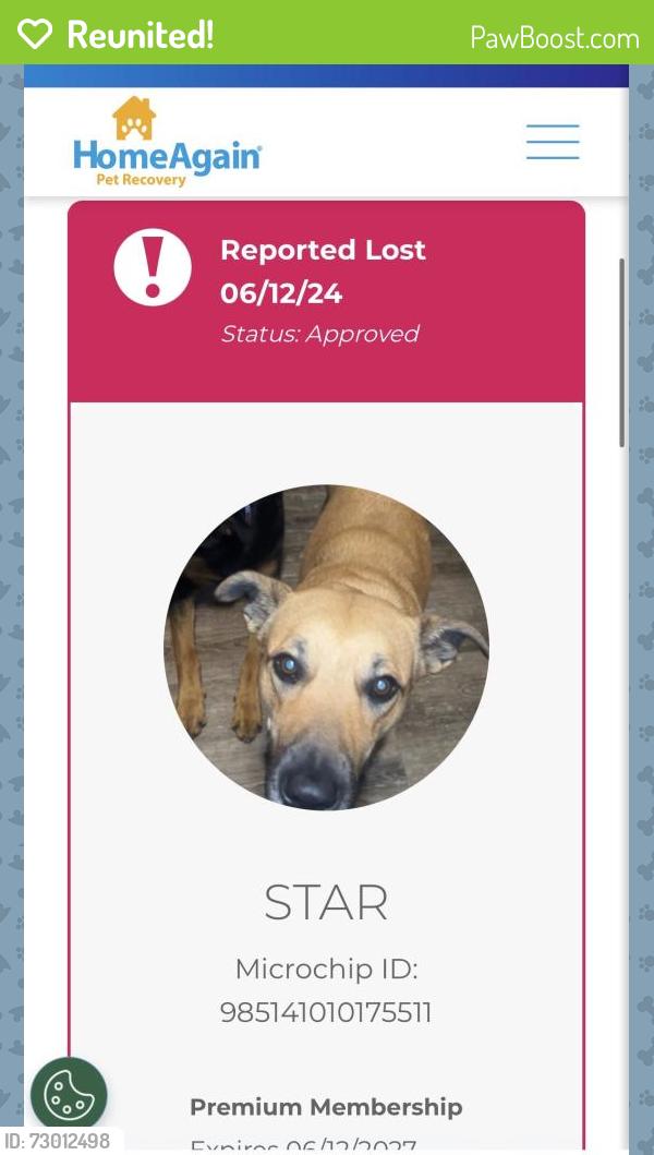 Reunited Female Dog last seen Se 29th and Eastern, Oklahoma City, OK 73129