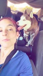 Lost Male Dog last seen 17/93, Casselberry, FL 32707