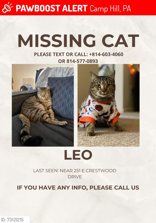 Lost Male Cat last seen Near E Crestwood Dr, Camp Hill, PA 17011