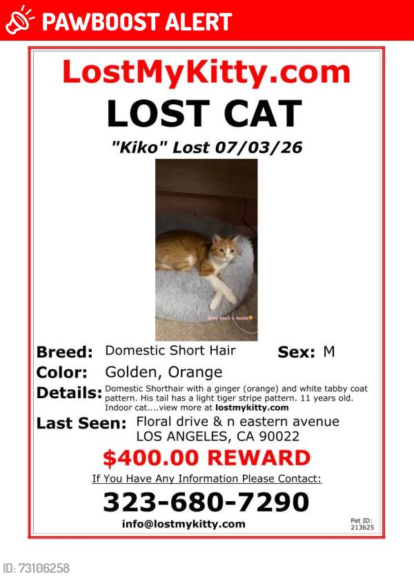 Lost Male Cat last seen Floral dr & n eastern ave, East Los Angeles, CA 90063