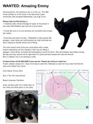 Lost Female Cat last seen Savannah Lakes Dr and Prairie Grass Dr, Zeeland, MI 49464