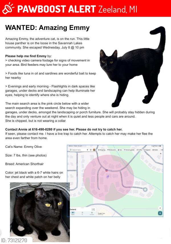 Lost Female Cat last seen Savannah Lakes Dr and Prairie Grass Dr, Zeeland, MI 49464