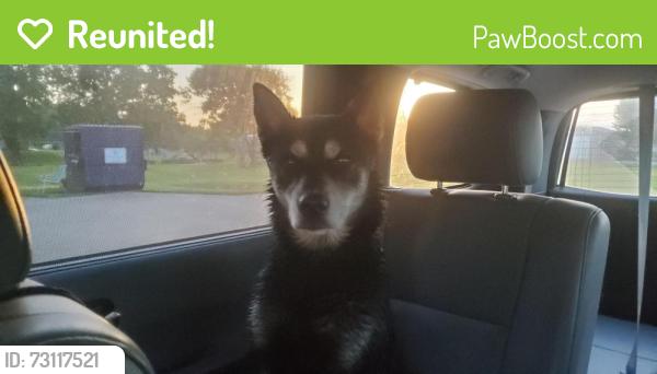 Reunited Unknown Dog last seen Chase Park Dr. & SH 146, Texas City, TX 77539