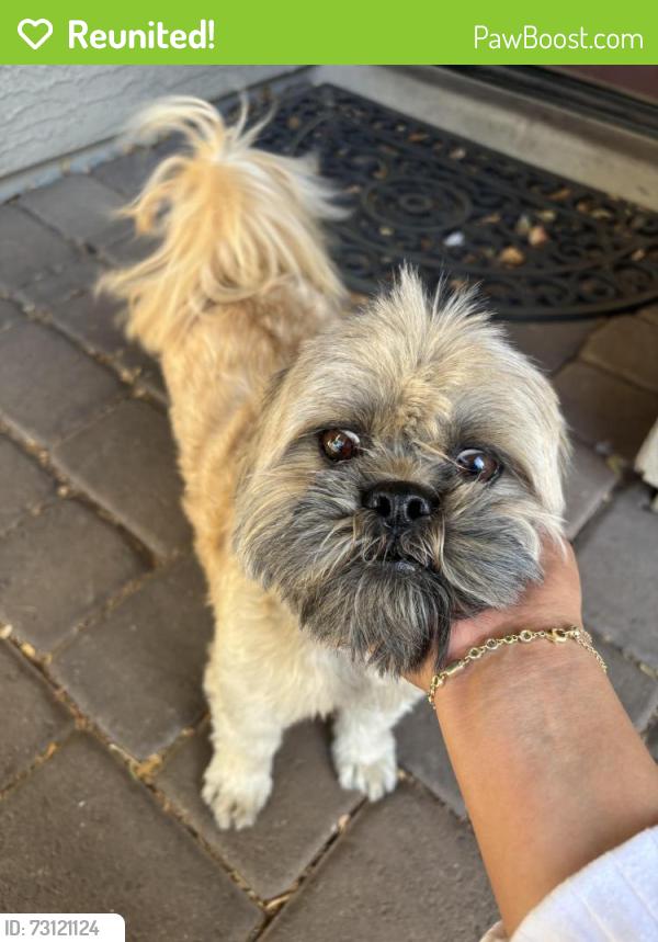 Reunited Male Dog last seen 87th Ave & Glendale, Glendale, AZ 85305