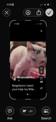 Lost Female Cat last seen ingate way off of Leesville rd, Raleigh, NC 27613