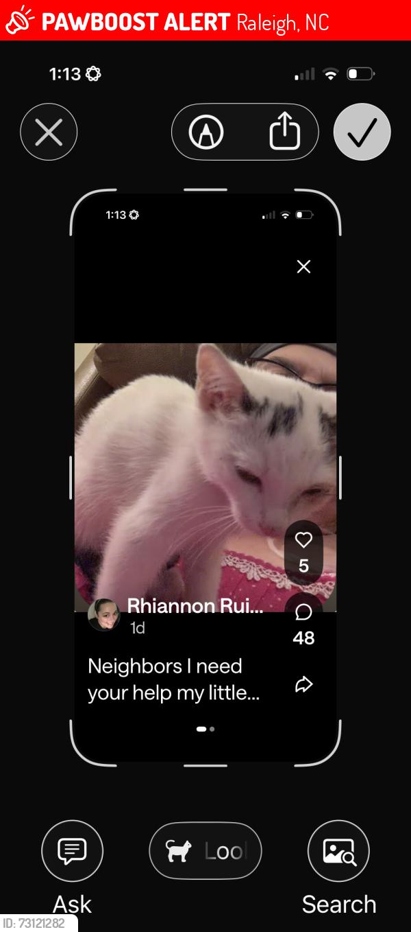 Lost Female Cat last seen ingate way off of Leesville rd, Raleigh, NC 27613