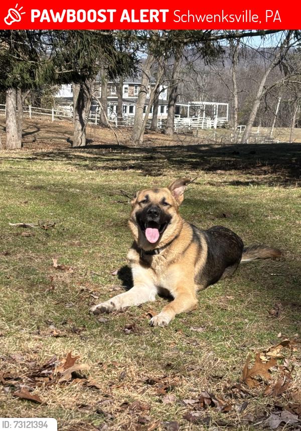Lost Male Dog last seen Rolling Turf golf course, Schwenksville, PA 19473