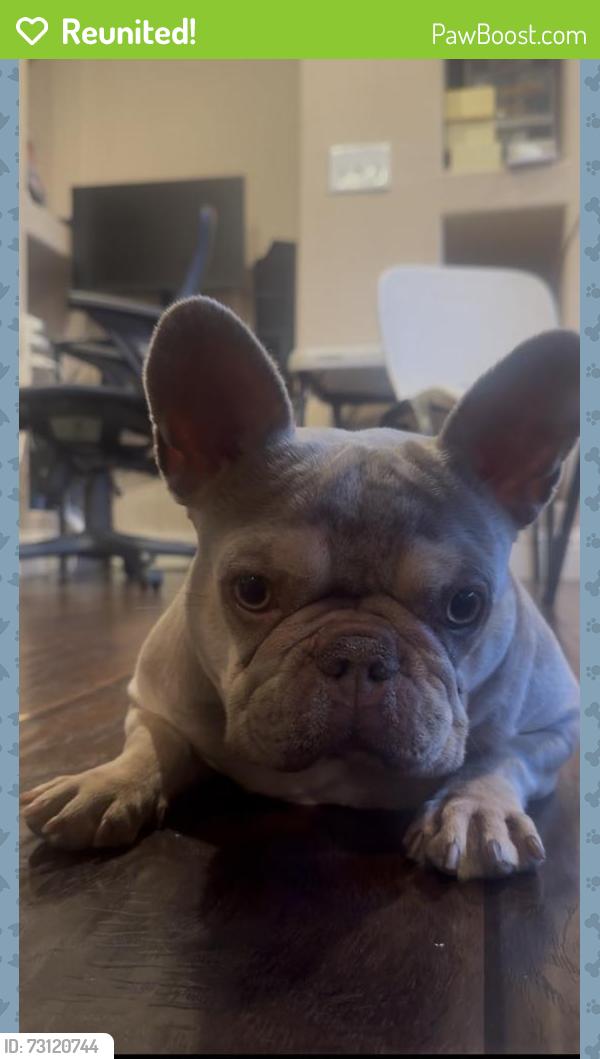 Reunited Female Dog last seen San Novado way, Santa Fe way, North Highlands, CA 95660