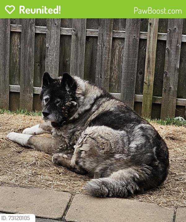 Reunited Female Dog last seen Rumford Ct and Stanford Dr, Newtown, PA 18940