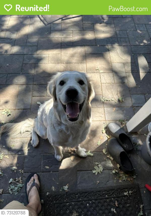 Reunited Male Dog last seen Oak Grove Rd, Concord, CA 94518