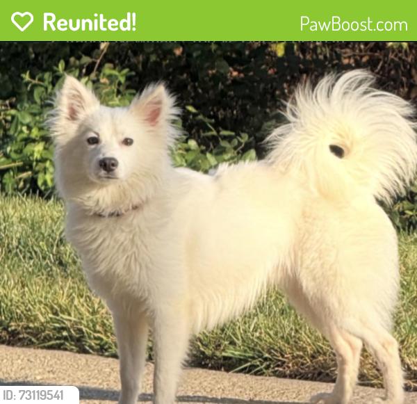 Reunited Male Dog last seen Fairview Ave, Takoma Park, MD, USA, Takoma Park, MD 20783