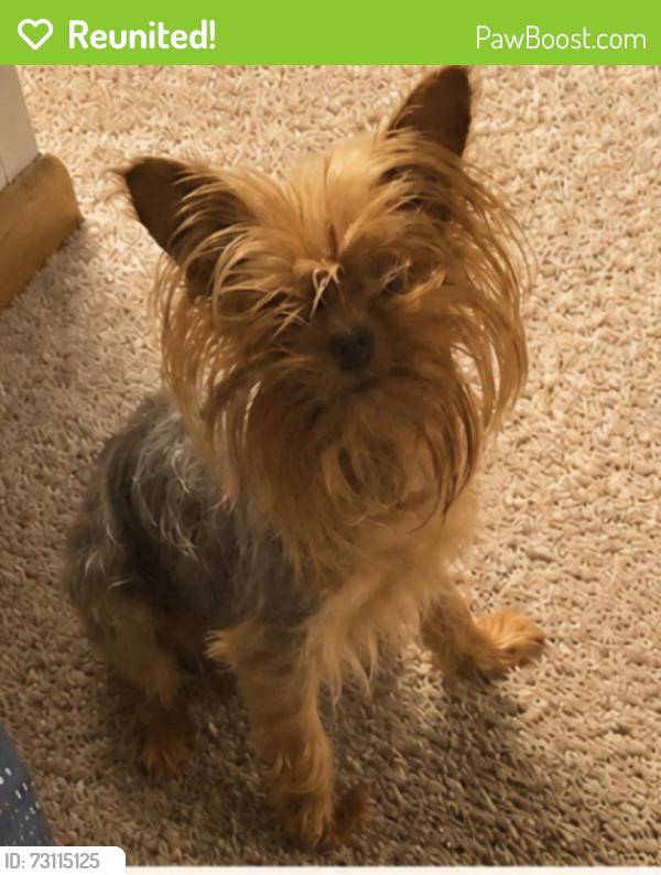 Reunited Female Dog last seen Hustis St, Milwaukee, WI 53223