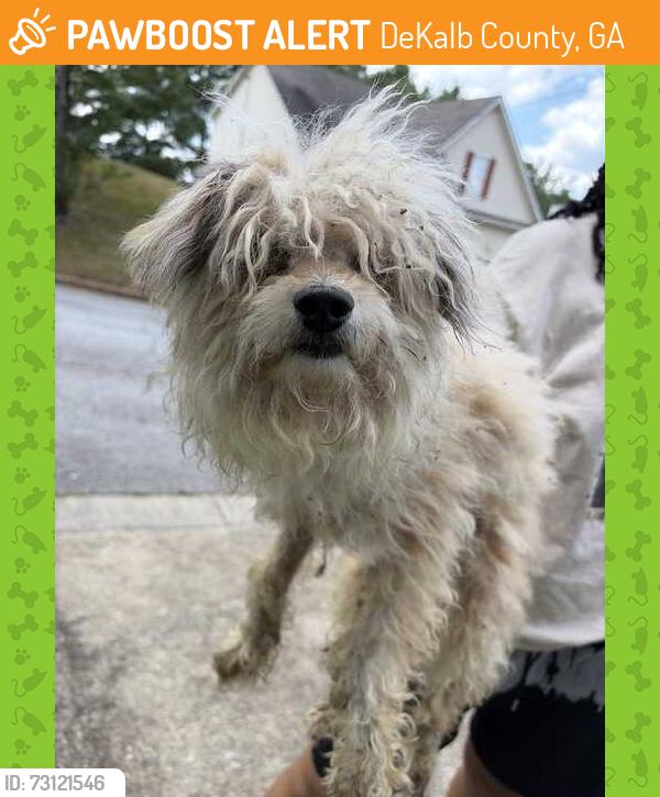 Found/Stray Male Dog last seen Edenberry ln in the street, DeKalb County, GA 30058