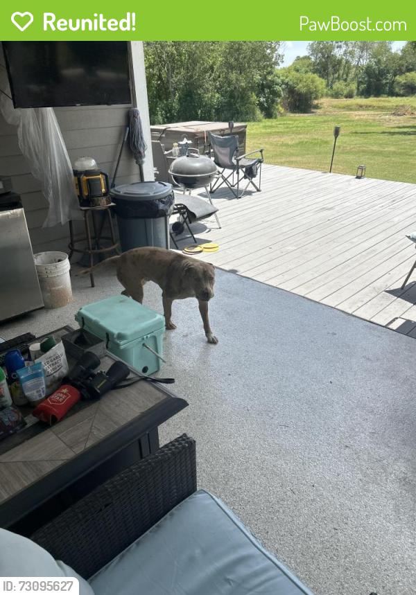 Reunited Male Dog last seen .5 mile from TJ Max, San Antonio, TX 78221