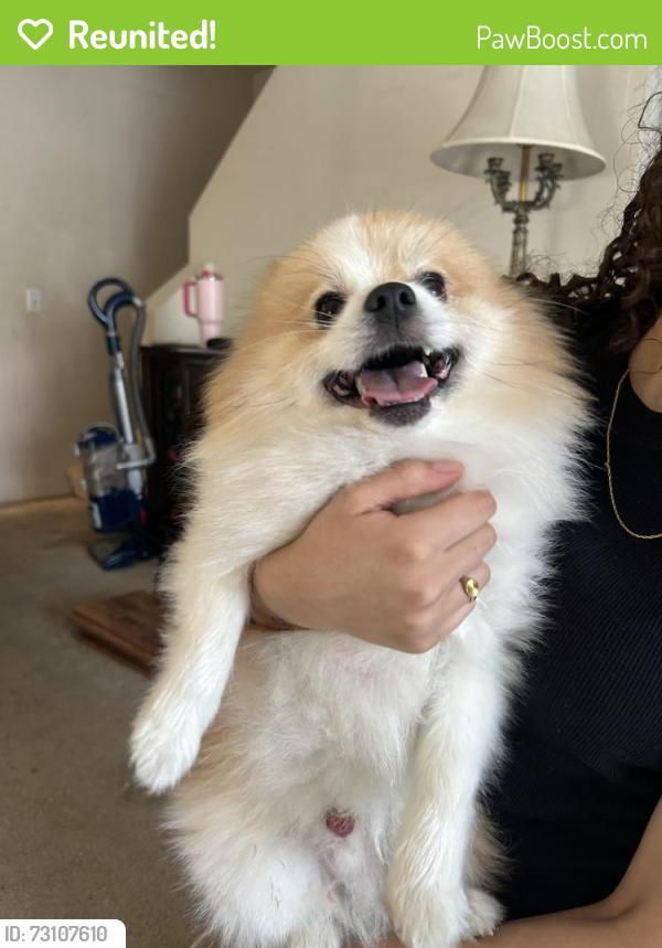 Reunited Unknown Dog last seen S 232nd Pl Kent, WA 98032 United States - In the lakes near the construction work, Kent, WA 98032