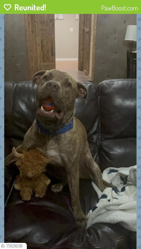 Reunited Male Dog last seen Dr Bramblett Rd, Holbrook Rd, Pleasant Grove Rd, Cumming, GA 30028