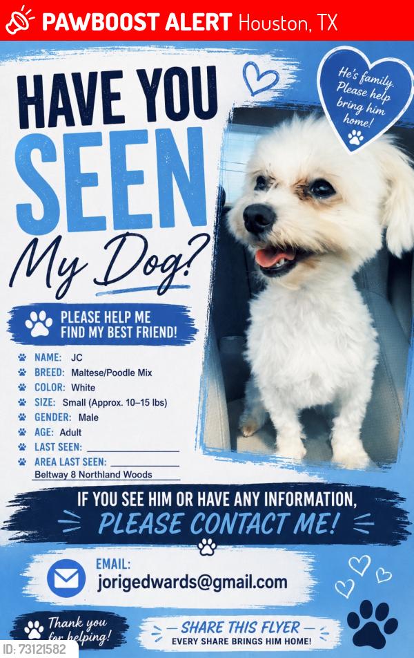 Lost Male Dog last seen Beltway, Houston, TX 77032