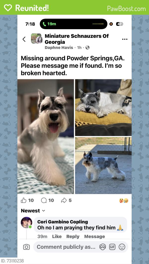 Reunited Male Dog last seen Powder Springs, GA Creastworth crossing, Paulding County, GA 30157
