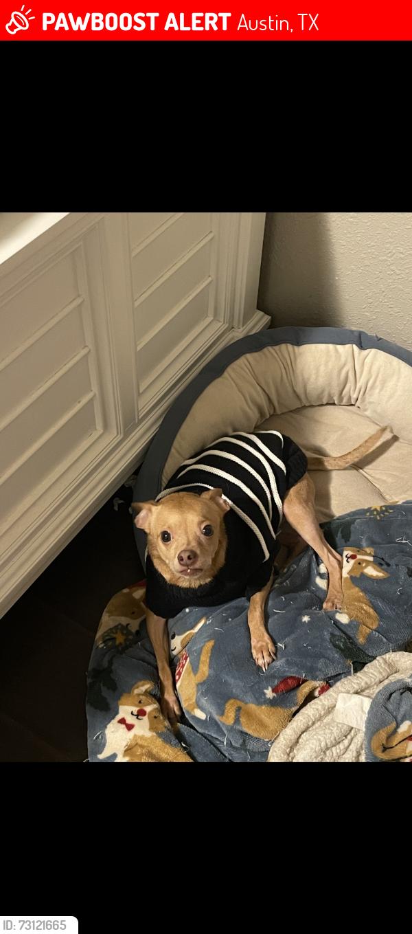 Lost Male Dog last seen Near north imperial dr, Austin, TX 78724
