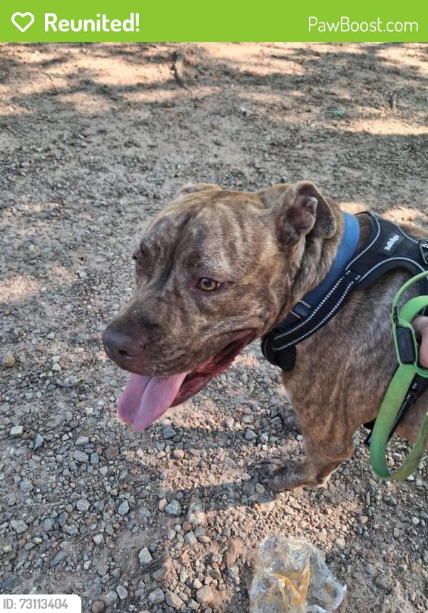 Reunited Male Dog last seen Doc Bramblett and Hurt Bridge Road, Cumming, GA 30028