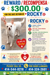 Lost Male Dog last seen Near W Greenfield Ave West Allis Wi 53214, West Allis, WI 53214