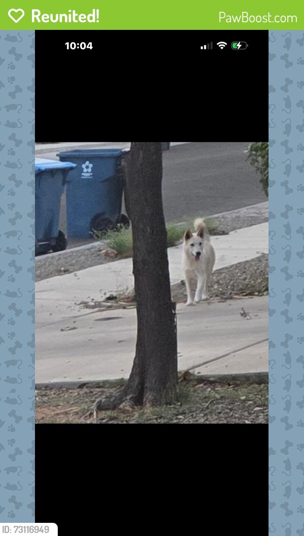 Reunited Male Dog last seen Valencia and Bullfinch, Sonoran Ranch Estates, AZ 85757