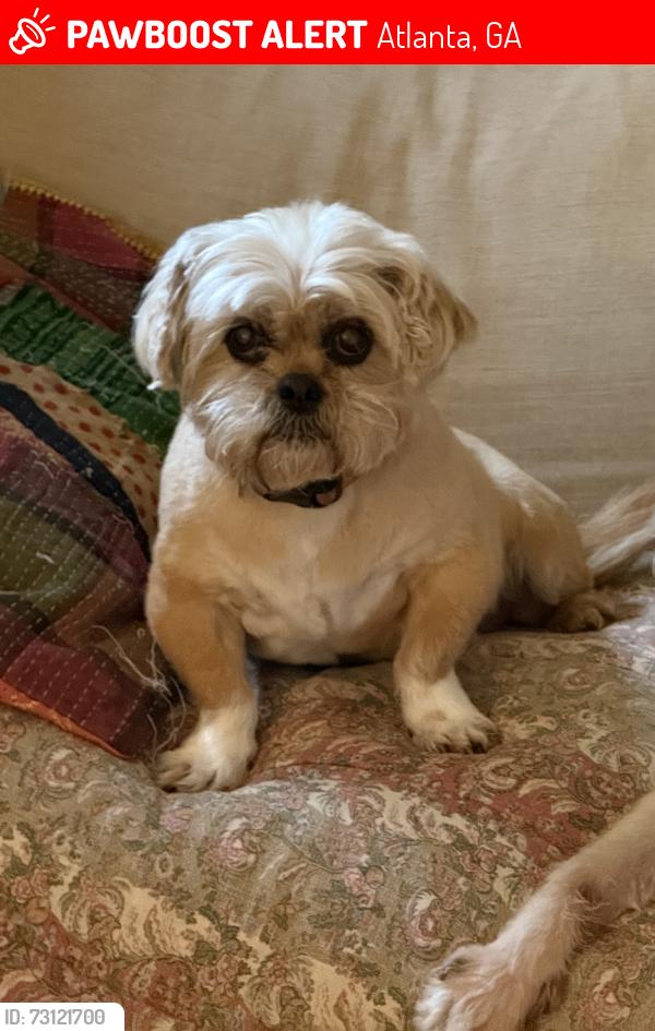Lost Female Dog last seen Haralson Ave and DeKalb Ave, Atlanta, GA 30307