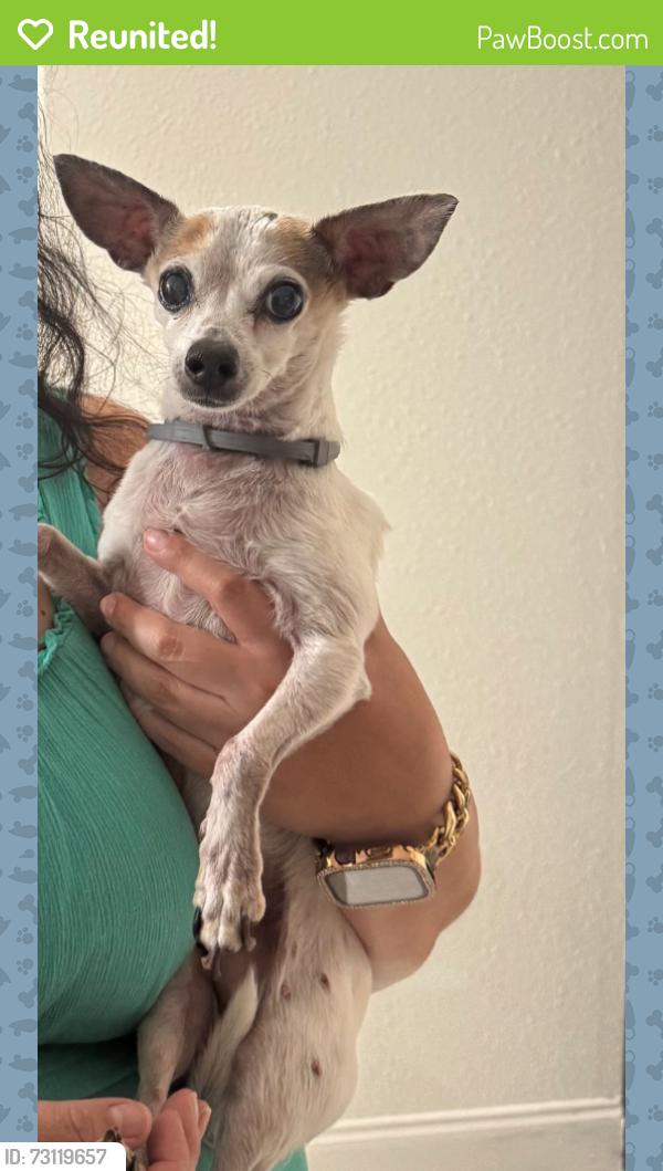 Reunited Male Dog last seen Near Butte Creek Rd, Houston, TX 77090, USA, Houston, TX 77090