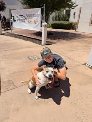 Reunited Female Dog last seen Machado and Lincoln, Lake Elsinore, CA 92530