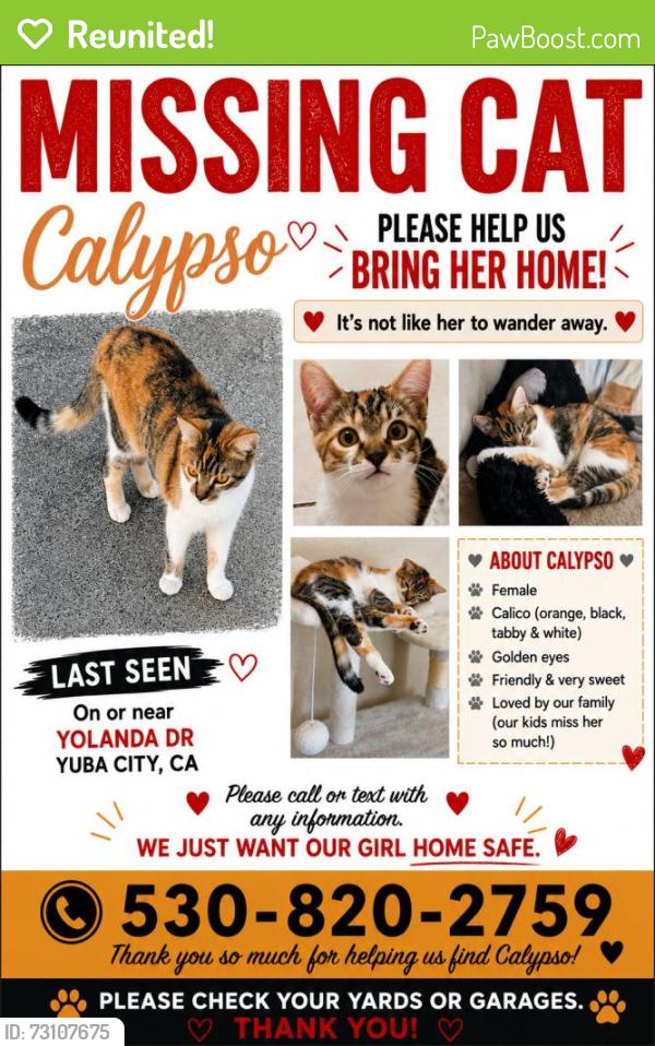 Reunited Female Cat last seen Near Yolanda Dr, Yuba City, CA 95993, USA, Yuba City, CA 95993