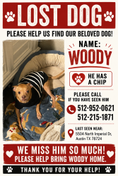 Reunited Male Dog last seen Imperial drive, Austin, TX 78724