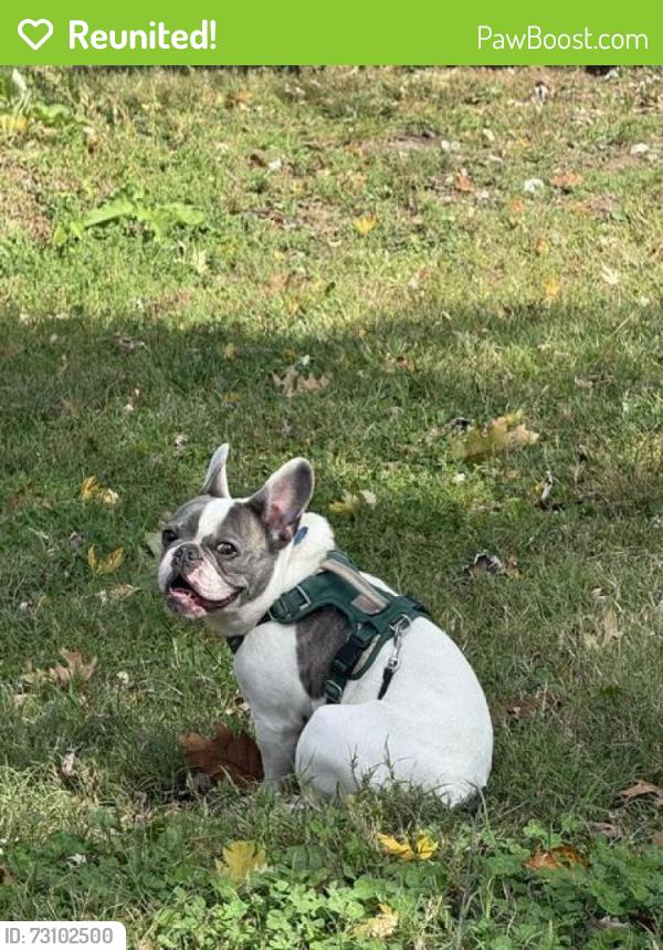 Reunited Male Dog last seen Minnesota Avenue/Lyndale Pl SE, Washington, DC 20019