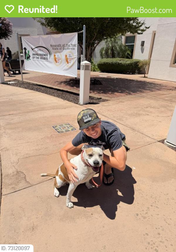 Reunited Female Dog last seen Machado and Lincoln, Lake Elsinore, CA 92530