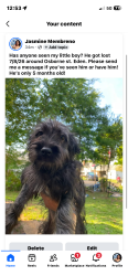 Reunited Male Dog last seen Osborne st. Eden, NC, Eden, NC 27288