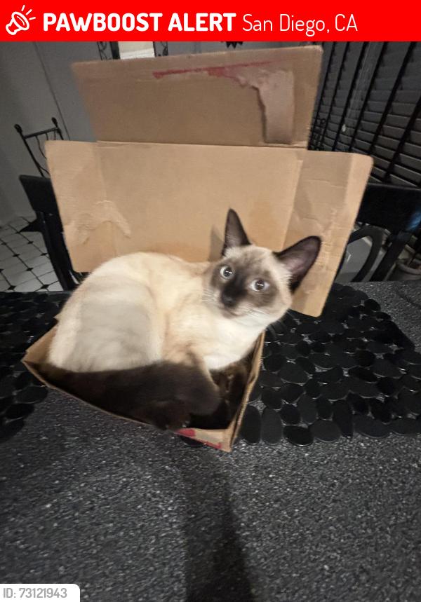 Lost Female Cat last seen El Banquero Place, San Diego, CA 92119