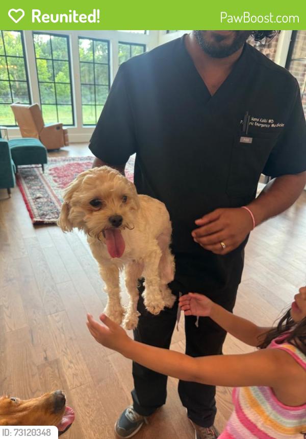 Reunited Female Dog last seen SE 59th and post near tinker, Oklahoma City, OK 73150
