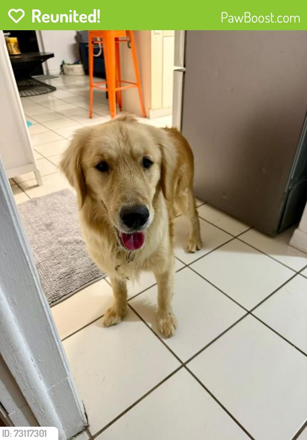 Reunited Female Dog last seen SW 160th Ave & SW 139th St Miami, FL 33196 United States, Country Walk, FL 33196